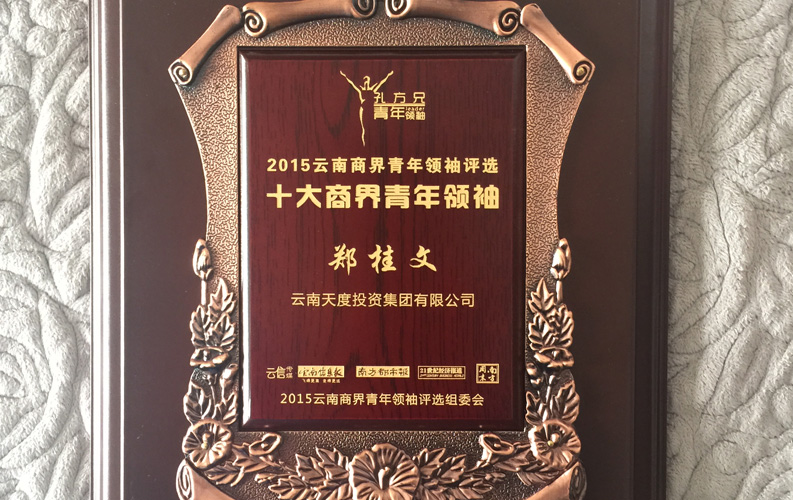在“互聯(lián)網(wǎng)大時(shí)代”的背景下，天度作為本土很大和很有名的互聯(lián)網(wǎng)服務(wù)企業(yè)，為近萬家傳統(tǒng)企業(yè)轉(zhuǎn)型互聯(lián)網(wǎng)+提供了服務(wù)和幫助，獲此獎(jiǎng)項(xiàng)后，我們將再接再厲，創(chuàng)造更高的社會(huì)價(jià)值